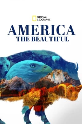 Poster phim America the Beautiful