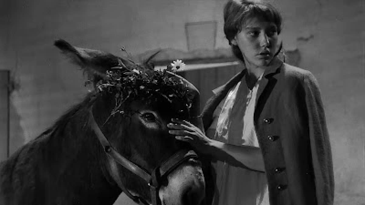 Chú Lừa Balthazar (Au hasard Balthazar)
