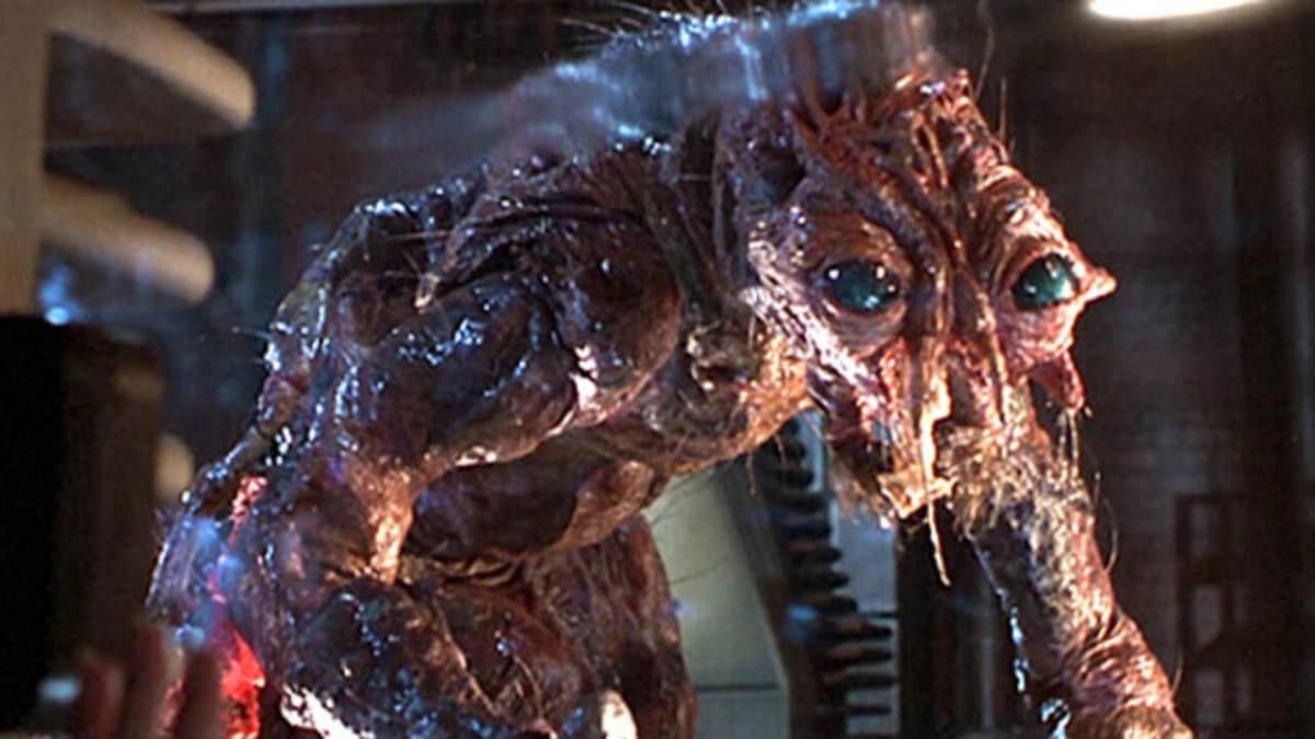 Con Ruồi (The Fly)