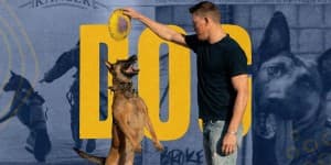 Dog (Dog)
