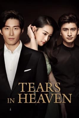 Poster phim Hải Thượng Phồn Hoa