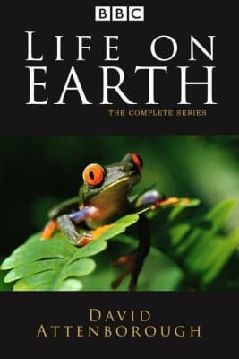 Poster phim Life on Earth