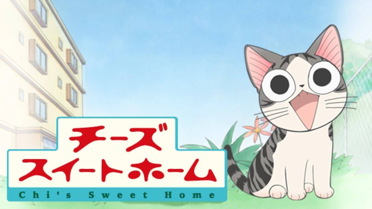 Mái Ấm Của Mèo Chi (Chi's Sweet Home)