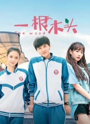Poster phim Một Khúc Gỗ Mùa 1