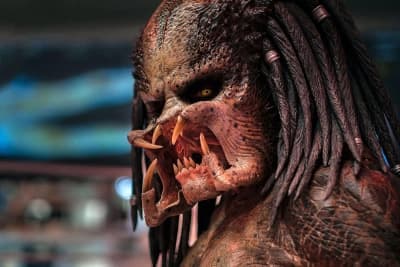 Predator (Predator)