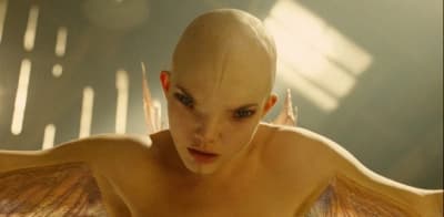 Splice (Splice)