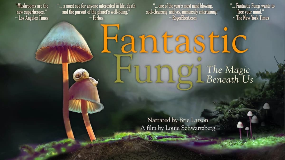 Thế giới nấm diệu kỳ (Fantastic Fungi)