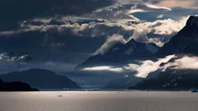 The Wild Andes (The Wild Andes)