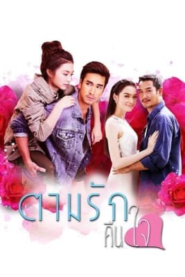 Poster phim Theo Dấu Yêu Thương