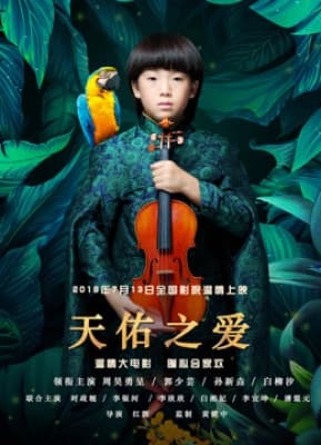 Poster phim Tình yêu trời phú