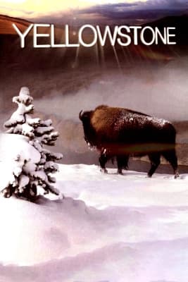 Poster phim Yellowstone
